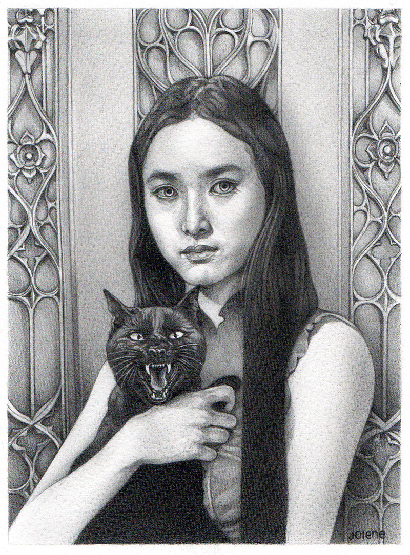 Old Cat (Study), Graphite, 6 x 8, Jolene Lai, 2026